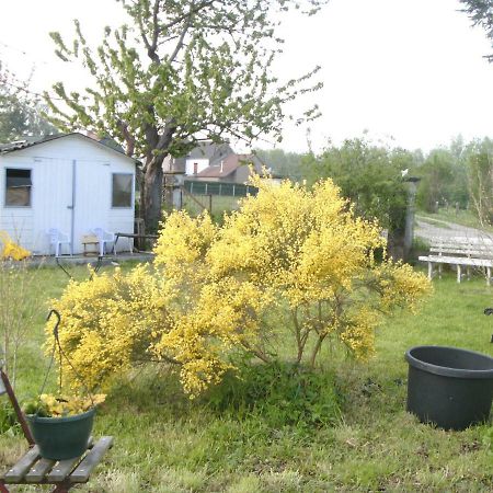 Penzion Ferme Lenfant Ville-Pommeroeul Exteriér fotografie