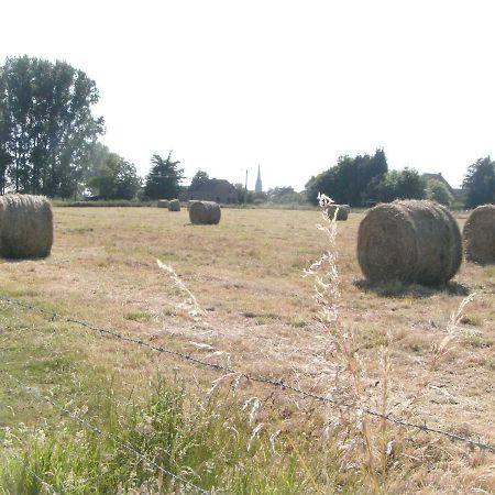 Penzion Ferme Lenfant Ville-Pommeroeul Exteriér fotografie