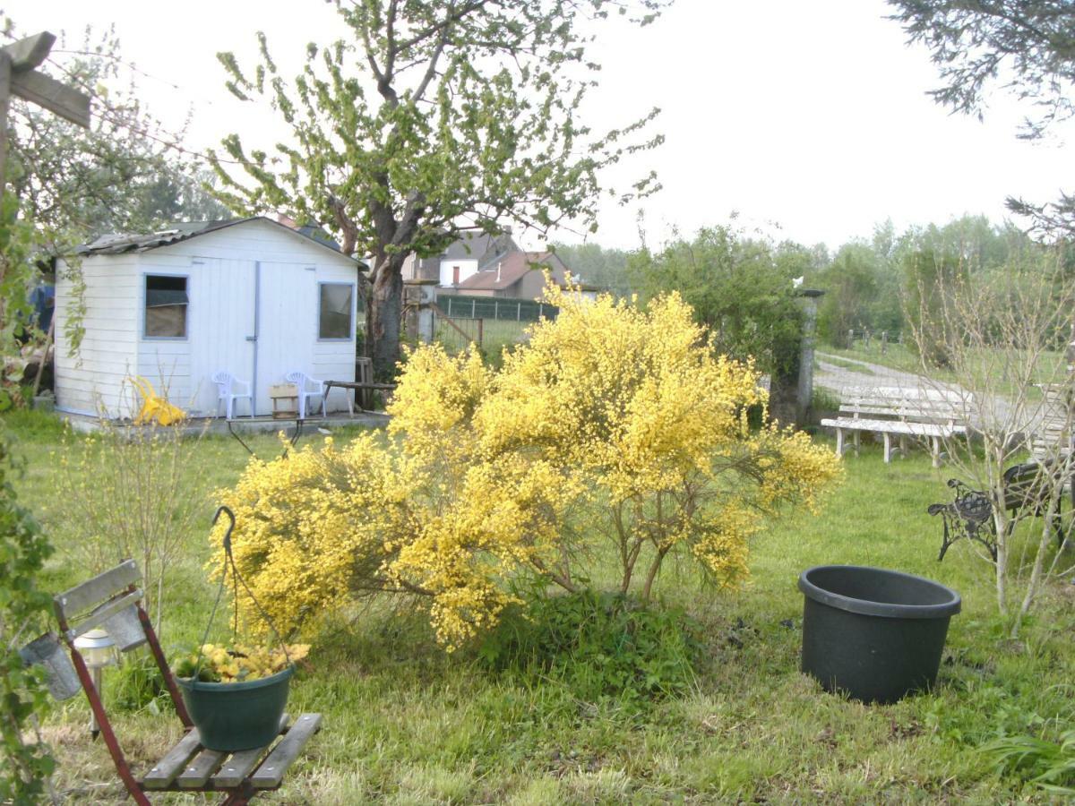 Penzion Ferme Lenfant Ville-Pommeroeul Exteriér fotografie