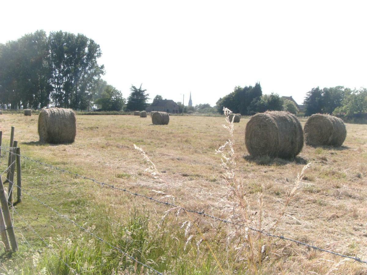 Penzion Ferme Lenfant Ville-Pommeroeul Exteriér fotografie